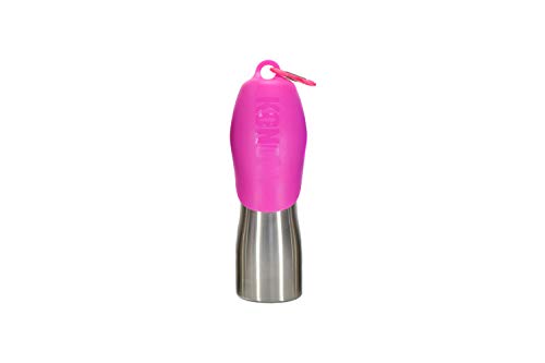 KONG H2O Wasserflasche und Futternapf, Edelstahl, 750 ml, Pink
