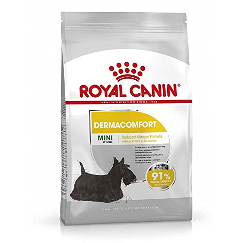 ROYAL CANIN Mini Dermacomfort - 8 kg