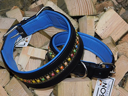 Lederhalsband Rainbow Halsband Leder extra Breit Tysons Hundehalsband gr. Hund M L XL 4 5,5 6,5 Breite (M)