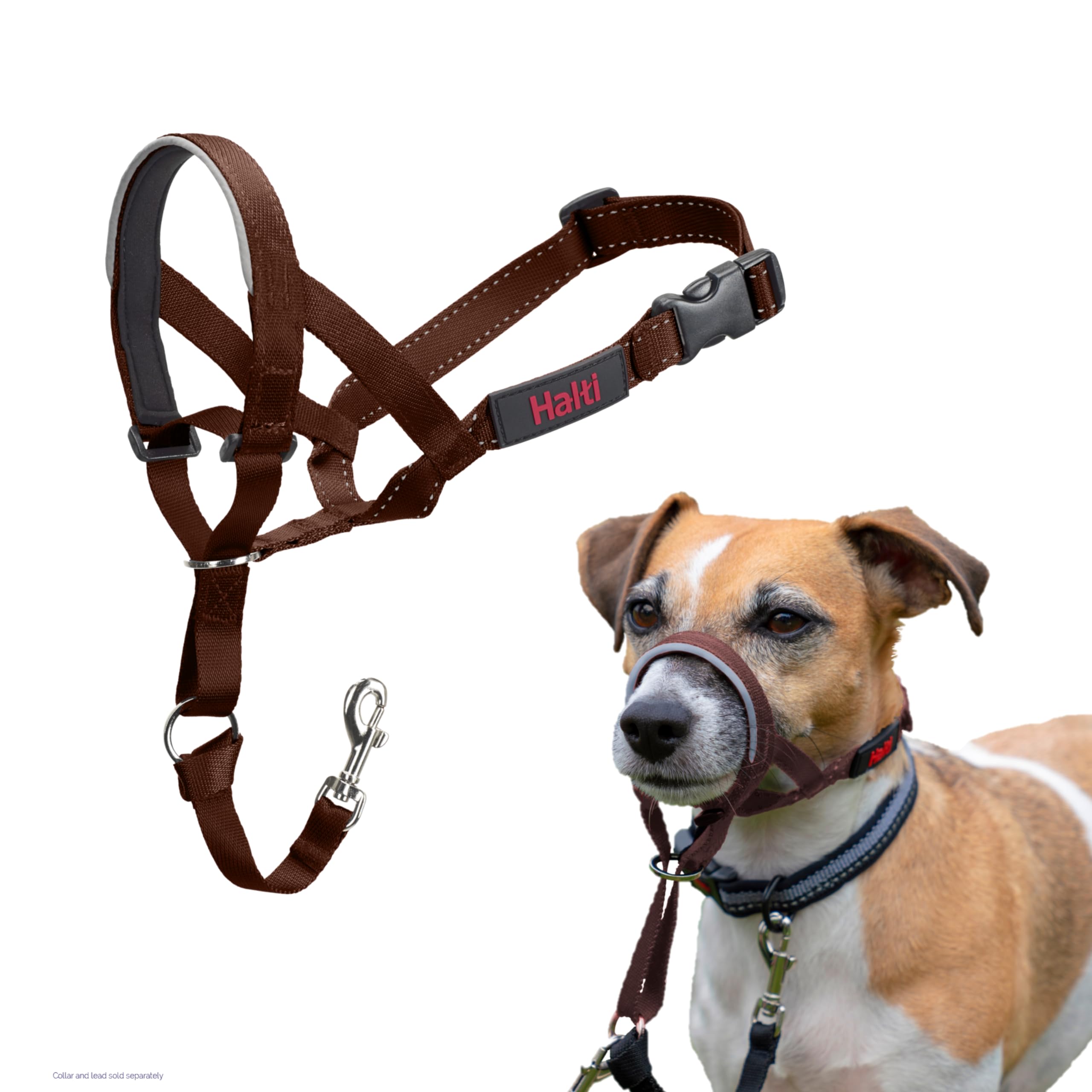 HALTI Kopfgeschirr - Verhindert, dass Ihr Hund an der Leine zieht, Einfache Anpassung, Leicht, mit gepolstertem Nasenriemen, Anti-Zug-Halsband für kleine Hunde (Größe 1, Walnussbraun)