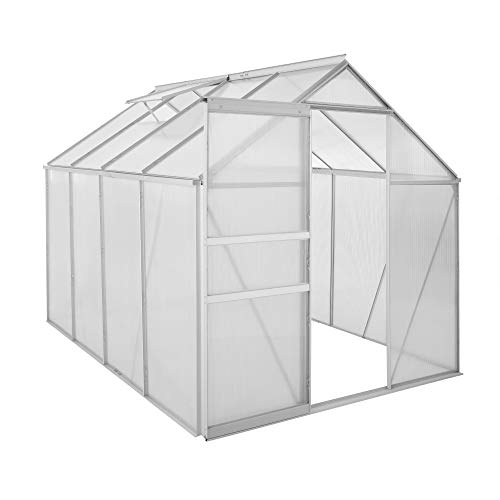 Zelsius Aluminium Gewächshaus für den Garten | 250 x 190 cm | 4 mm Platten | Vielseitig nutzbar als Treibhaus, Tomatenhaus, Frühbeet und Pflanzenhaus