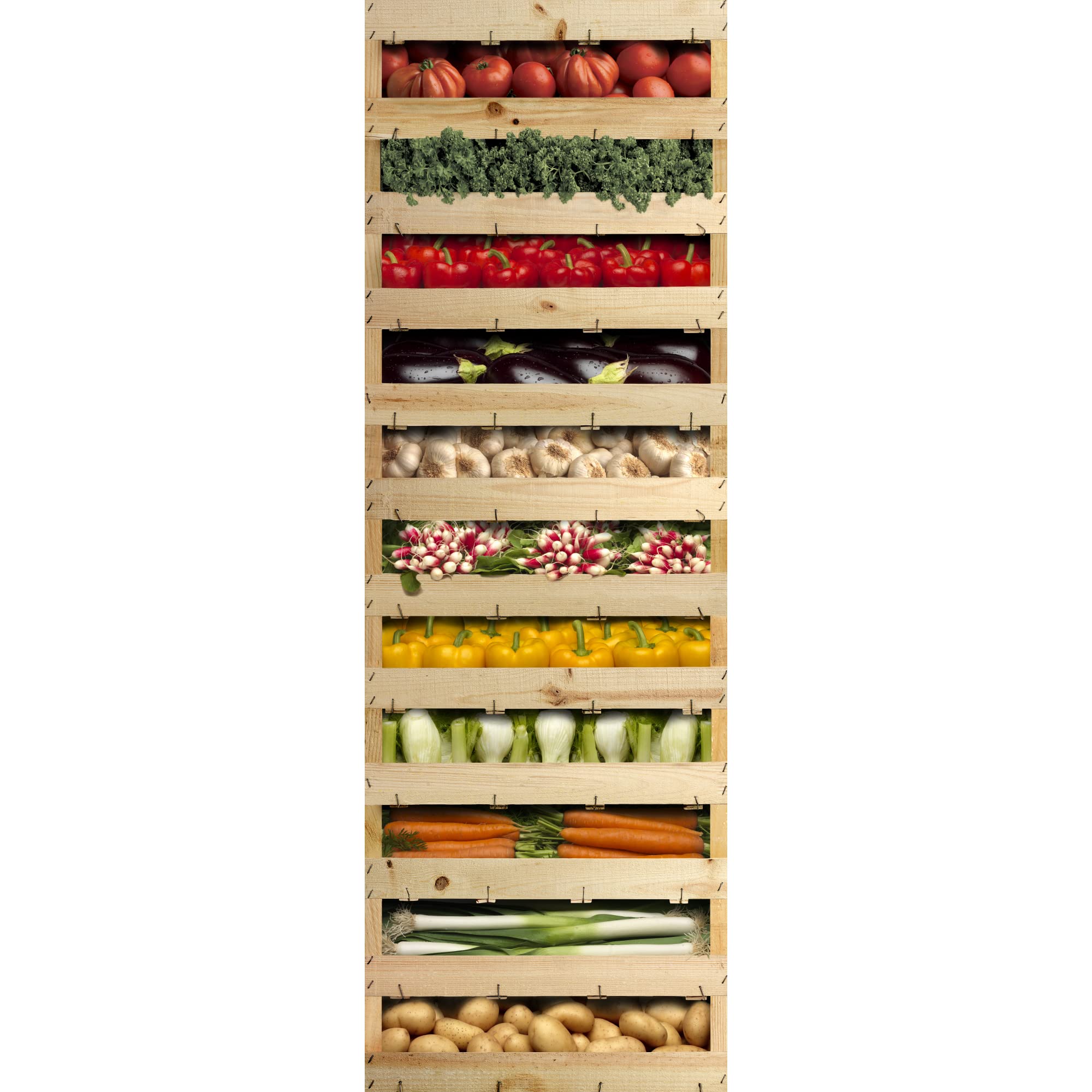 Plage Kitchen Aufkleber für Küchen und Kühlschrank-Gemüsemarkt-180 x 59,5 cm, Vinyl, Colorful, 180x0.1x59,5 cm