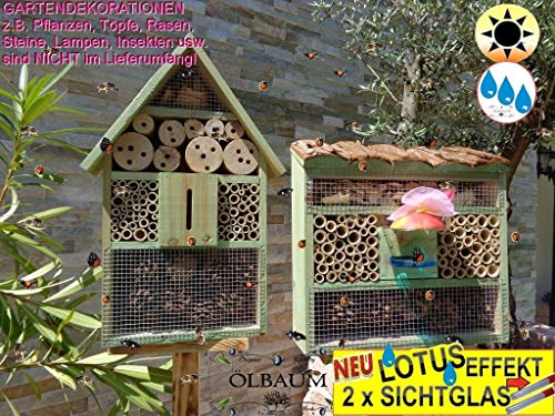 2 x Bienenhotels, mit Lotus+2xBrutröhrchen, viereckig/Quadrat + Hausform, Insektenhaus + Bienenhaus mit Bienentränke, Insektenhotel, mit Lotus+2xBrutröhrchen, Ausführung MOOSGRÜN