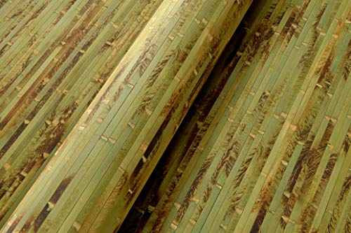 Bambus Wandverkleidung - Exotischer Rollbelag aus echten Bambuslatten (Höhe: 150 cm / 1 Stk. = 1 Meter, Grün getigert)