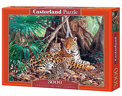 Castorland C-300280-2 Puzzle, bunt