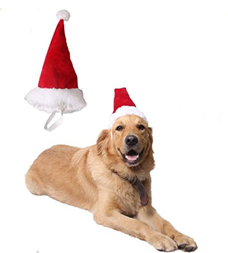 Hund Katze Haustier Lieferungen Weihnachten Kopfschmuck groß mittelgroßer kleiner Hund rote Weihnachtsmütze Stillshine (L)