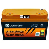 LIO 12100LX-MA - Lithium-Akku, LiFePO4, 12,8 V, 100 Ah, BT BMS, Actic / Marine