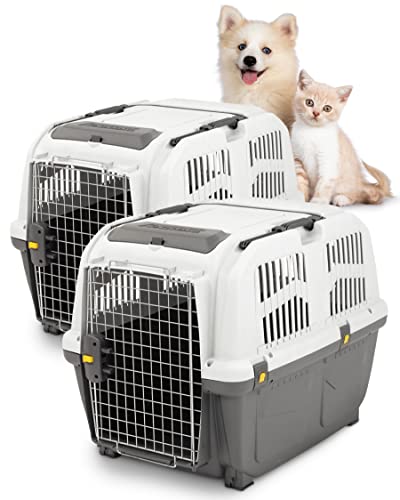 PETGARD 2er Sparpaket Transportbox SKUDO 5 IATA mit gratis Hundespielzeug 79 x 58 x 65 cm