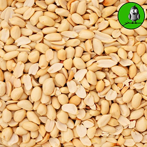 Vogelfood 25 KG Erdnusssplits blanchierte Erdnüsse Splits Beste Qualität