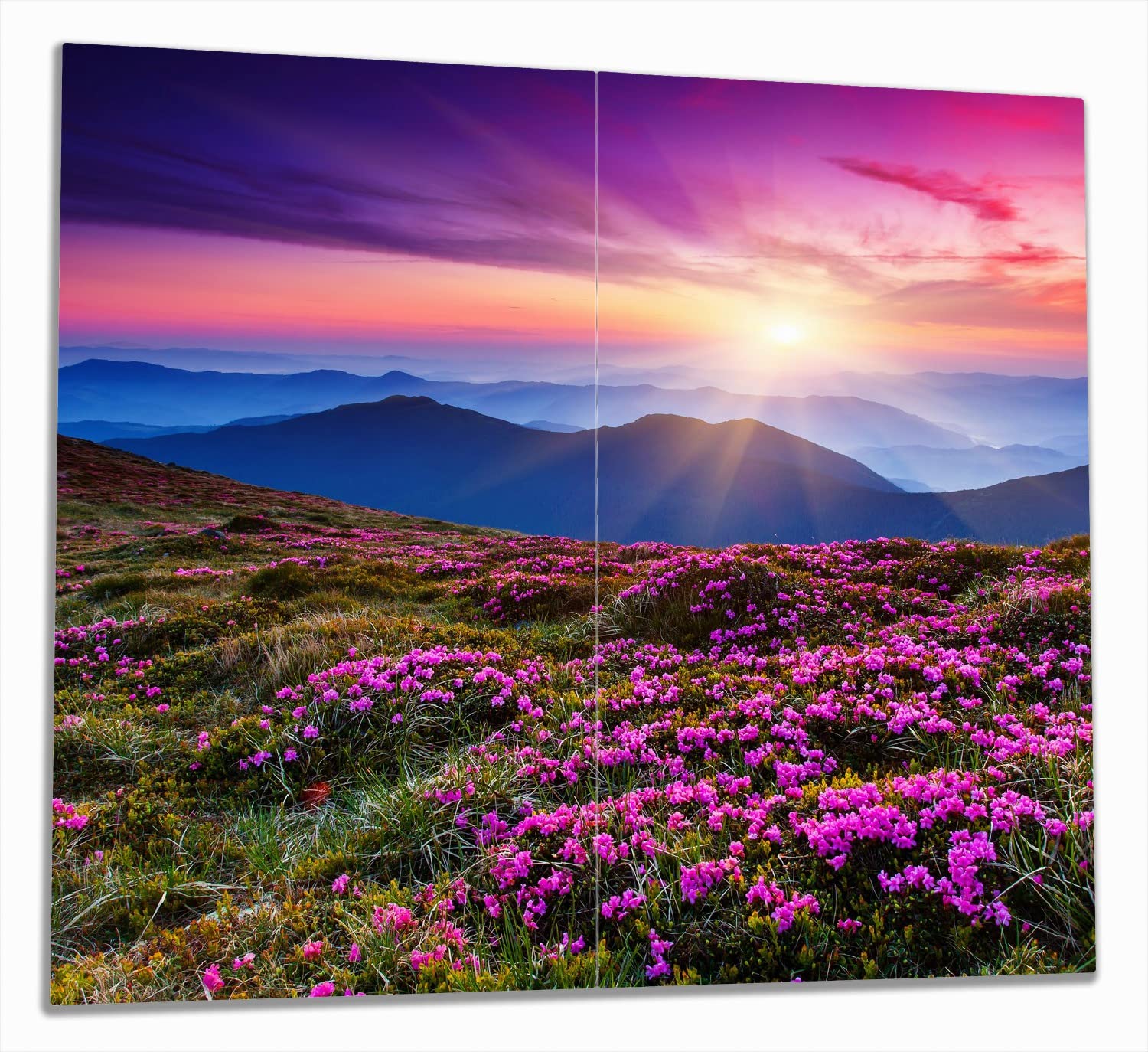 Wallario Herdabdeckplatte/Spritzschutz aus Glas, 2-teilig, 60x52cm, für Ceran- und Induktionsherde, Blumenbedeckte Wiese bei Sonnenuntergang