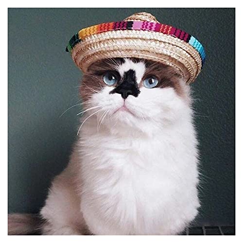 Z-LIANG Mexikanischer Haustier Strohhut Katze Hundehat Verstellbare Stirnband Kopfschmuck Kostüme Band Cap Festival Dog Caps (Enviado Desde : España)