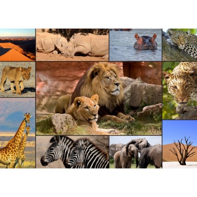 Grafika Collage - Wildlife 2000 Teile Puzzle Grafika-T-00131