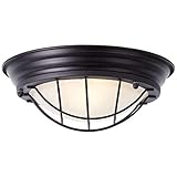 BRILLIANT Lampe Typhoon Wand- und Deckenleuchte 29cm schwarz | 1x A60, E27, 30W, geeignet für Normallampen (nicht enthalten) | Skala A++ bis E | Für LED-Leuchtmittel geeignet