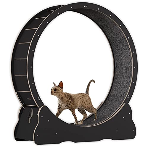 Cat Exercise Wheel Indoor Treadmill Small Animals Exercise Wheels, cat Runway, Fitness Weight Loss Device, Cat Running Wheel, Pet Toy, Large-Sized cat Wheel,Black-XL