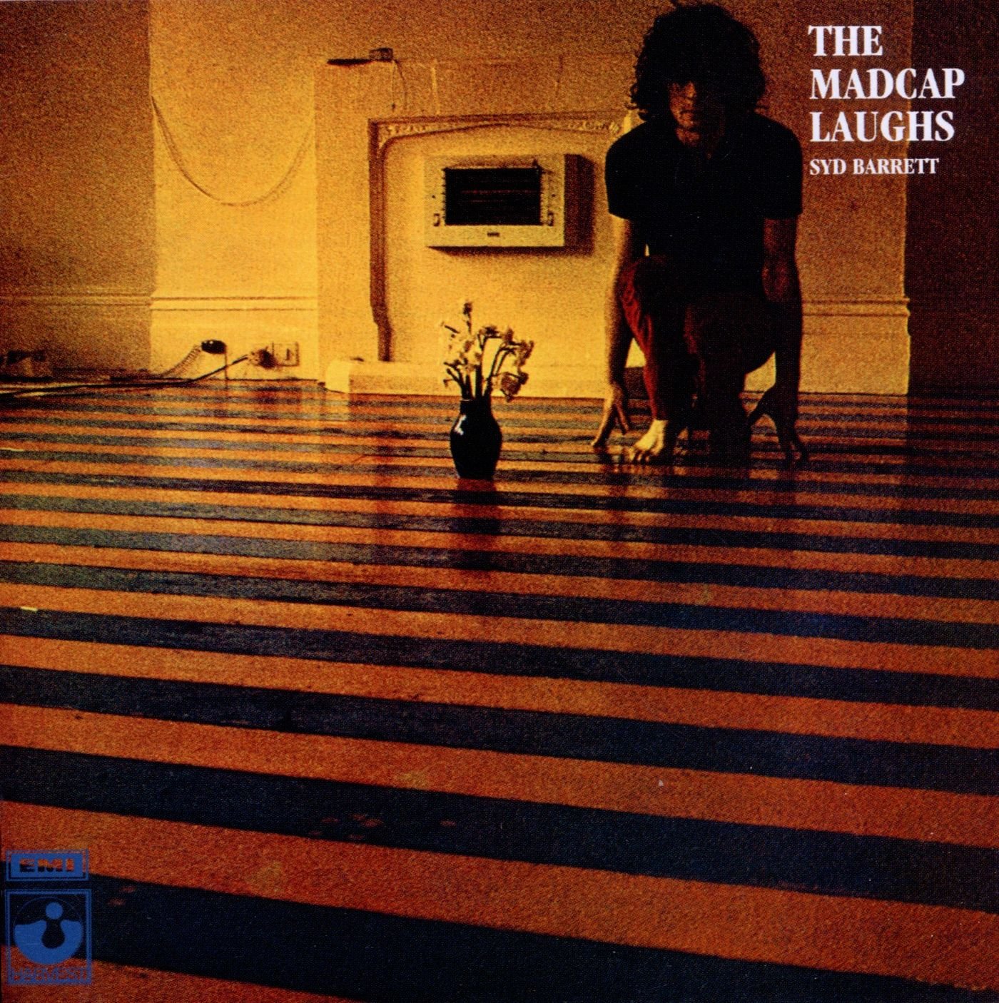 The Madcap Laughs [Vinyl LP]