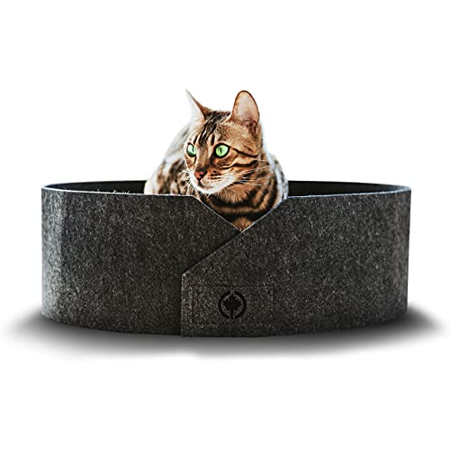 CanadianCat Company | Owen XL 50cm | Filzbett mit Kratzboden für Katzen Anthrazit - Katzenbett mit Wellpappe als Boden
