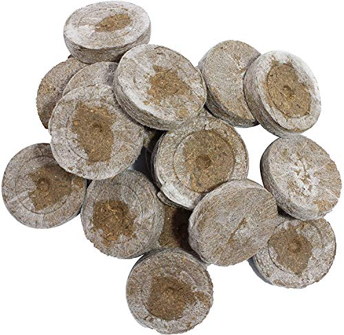 Jiffy® Torfquelltöpfe 1000 STK. für die Anzucht - Kokos Quelltabletten Anzuchterde Blumenerde Aufzucht Kokoserde Aussaaterde Torftablette Tomaten Stecklinge