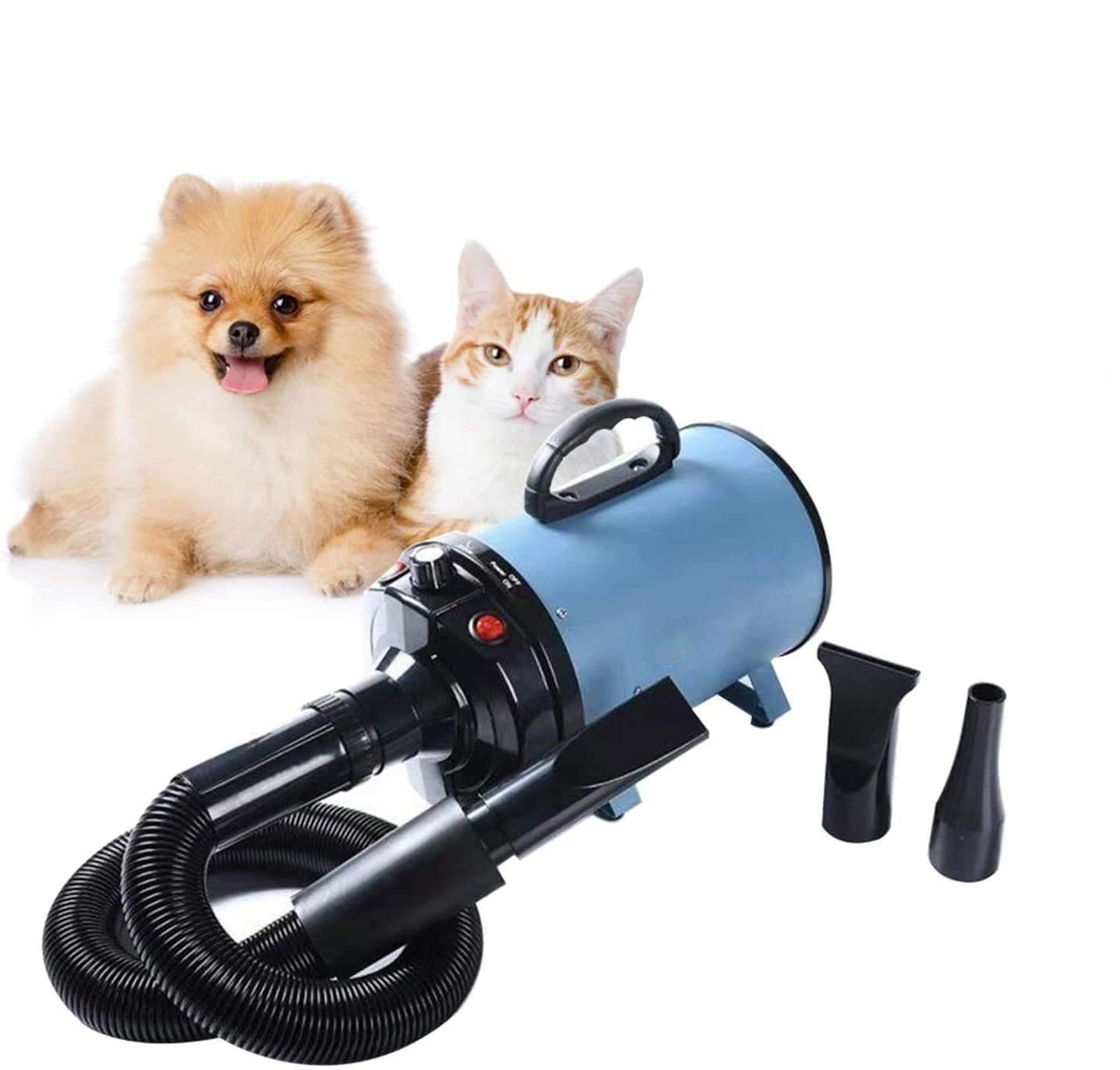 NEWTRY Tierfön Haustier Trockner Pet Dryer Haartrockner Einstellbare Geschwindigkeit und Temperatur 2000W Wenig Lärm für Hundepflege (Schwarz)