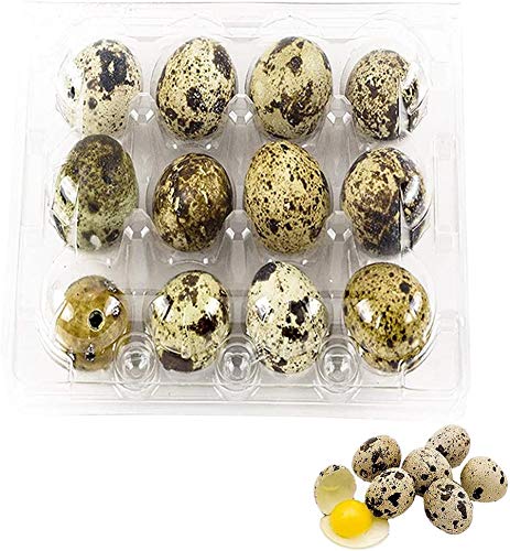 Wachtelei aus Kunststoff, Packung mit 100 Kartons für Dutzende von kleinen Eiern, Wachteln, Fasan oder Huhn, für 12 Wachteln oder kleine Eier, keine Eier enthalten