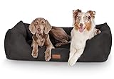 Knuffelwuff Hundebett Dreamline aus Velours XL 105 x 75cm Schwarz - abnehmbarer Bezug - leicht zu reinigen - für große, mittelgroße und kleine Hunde