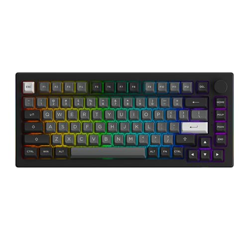 Akko 5075B Plus Mechanische Tastatur 75% Prozent RGB Hot-Swap-fähige Tastatur mit Knopf, Schwarz & Silber Thema mit PBT Double Shot ASA Profil Tastenkappen V3 Silver Pro