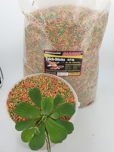 Teichsticks SAHAWA Premium Mix 3-Fach Sticks 34l= 4Kg Teichfutter Fischfutter + 1 Muschelblume 10-15 cm Teichpflanze Wasserpflanze