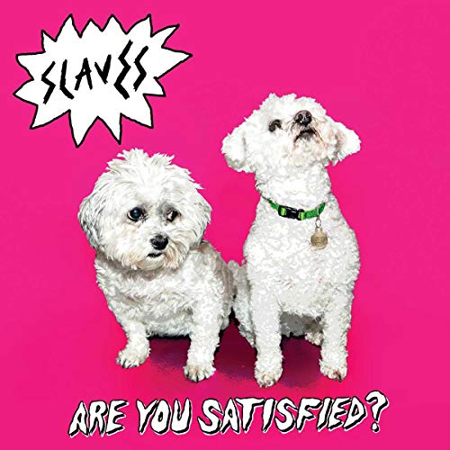 Are You Satisfied? (Vinyl) [Vinyl LP]