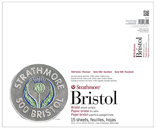 Strathmore 580-82 500 Series Bristol, 2-lagige Pergamentoberfläche, 35,6 x 43,2 cm Klebeband, 15 Blatt