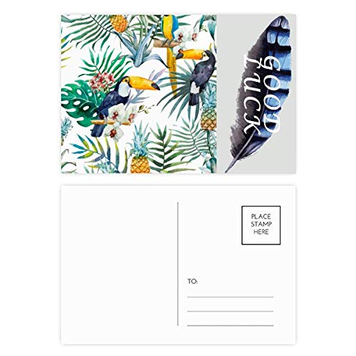 Postkarten-Set mit Wasserfarben-Tukan-Strauch, Pinienfrucht, Papagei, Glücksfeder, 20 Stück