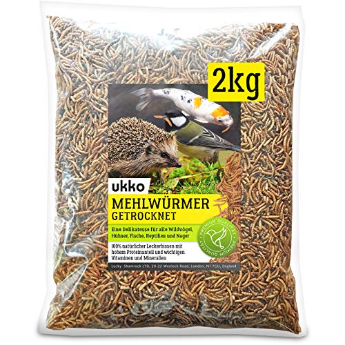 Ukko Mehlwürmer getrocknet 2kg, optimales Zusatz Futter für Reptilien, Fische, Vögel & Co.