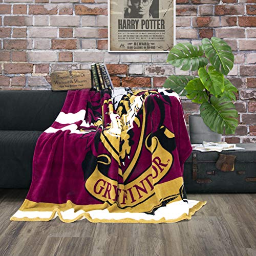 Character World kuschelige Flauschdecke Fleecedecke Harry Potter · 150 x 200 cm · Hogwarts-Schule · große Tagesdecke Kuscheldecke · Gryffindor