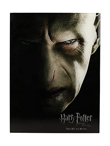 Harry-Potter, Impression en Verre, Voldemort-Gesicht, 30 x 40 cm