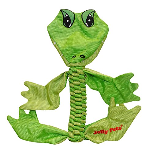 Jolly Pets Alligator Animal-Tug/Quietschen Spielzeug