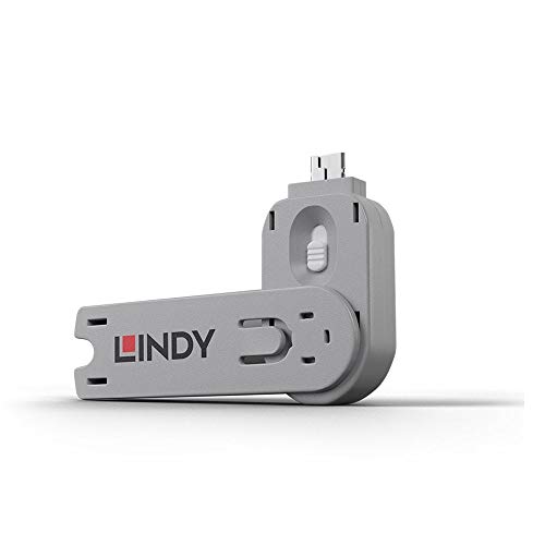Lindy USB Type A Port Blocker Key - USB-Portblocker - weiß