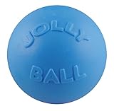 Jolly Pets Toys Jolly Bounce-n-Play Hundespielzeug, Blueberry, Large/X-Large