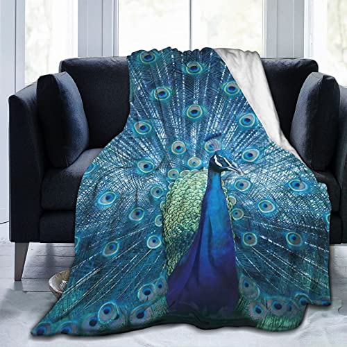 Pfauenfeder-Decke Bunte Pfauen-Vogel-Druck-Wurfdecke Gemütliche warme Flauschige Flanell-Fleece-Teal-Blau-Wurfdecken Leichte Fuzzy-Decke für Mädchen-Frauen-Geschenke die ganze Saison 60 "x 50"