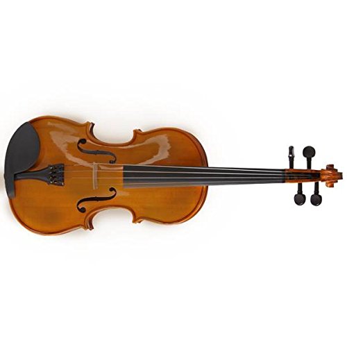 Violine 4/4 Valencia V400