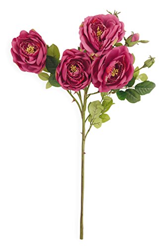 Villa d 'Este Home Tivoli Fleur Hahnenfuss Fuchsia, 6 Stück, Kunststoff, Pink, 20 x 20 x 60 cm