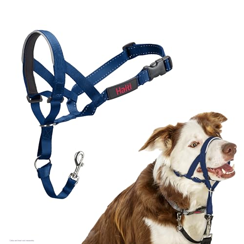 HALTI Halfter - um zu verhindern, DASS Ihr Hund an der Leine zieht Verstellbar, reflektierend und leicht, mit gepolstertem Nasenband, Hundetraining Anti-Zug Halsband für mittelgroße Hunde (Größe 2,