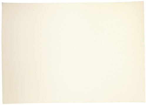 Favini a33q012 Prism 220 50 x 70 cm, elfenbeinfarben, 20 Stück