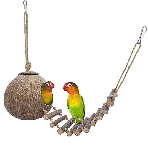 Niteangel Natürliche Vogelnester Kokosnuss-Versteck mit Leiter, Vogel- und Kleintier-Spielzeug (Glatte Oberfläche)
