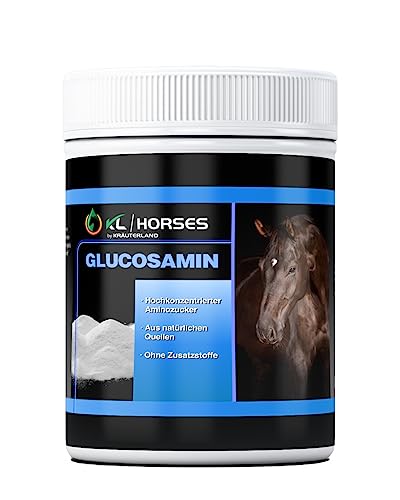 Kräuterland Glucosamin Pulver für Pferde, 1 kg, hochrein und hochdosiert, Premium Glucosamin Sulfat