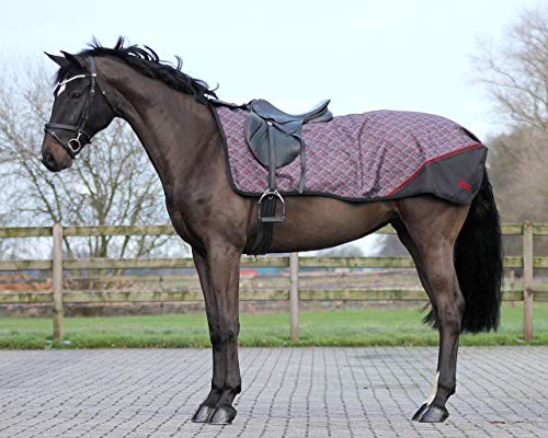 QHP Ausreitdecke Pferdedecke Turnoutdecke Outdoordecke Regendecke Pferde-Decke ARBO-Inox® (L, Typ 4)