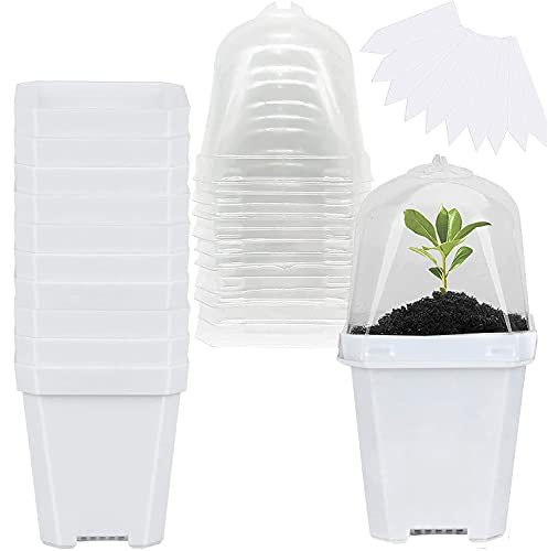 GIONAR 10 Stück Pflanzentöpfe mit Feuchtigkeitskuppel 7,6 cm Kunststoff-Gartentopf mit Etiketten, kleiner Pflanzenbehälter für Setzlinge/Gemüse/Sukkulenten/Stecklinge