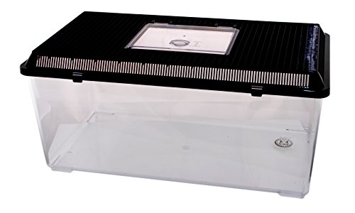 Neu PET-Plaza Kunststoffbox - Faunarium - Kunststoffterrarium - Faunabox - Insektenbox - Insektenterrarium - Box für Futterinsekten (56 x 31 x 26cm)