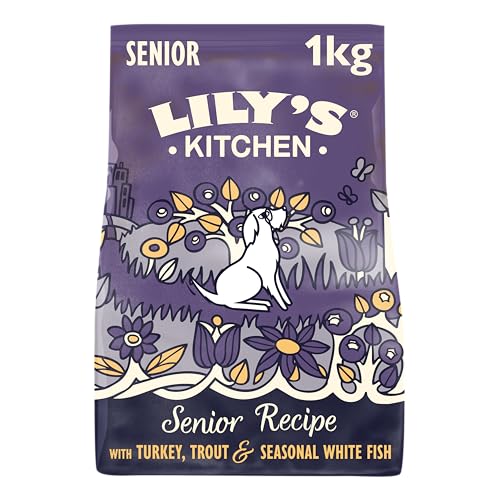 Lily‘s Kitchen Trocken Hundefutter für ältere Hunde 4er Pack (4 x 1kg) Lachs und Forelle