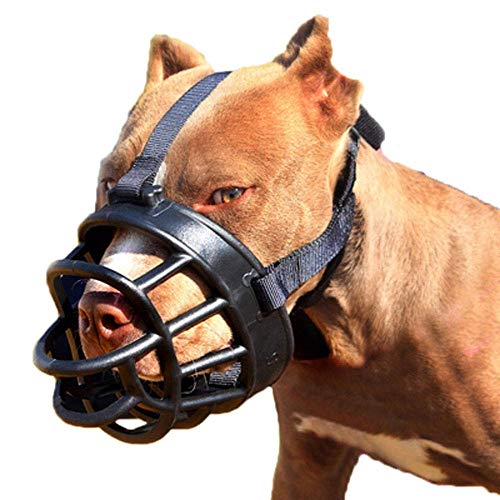 TRoki Pet Safety Shield: EIN atmungsaktiver und bequemer Mundschutz für Hunde