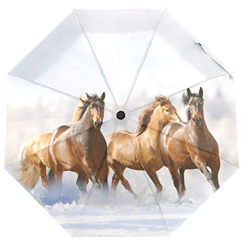 ISAOA Faltbarer Regenschirm für Pferde, Reise, kompakt, winddicht