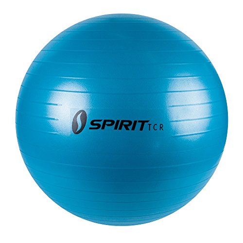 Spirit Gymnastikball Ø 55 Sitzball Fitnessball Yogaball Bürostuhl Ball + Pumpe