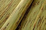 Bambus Wandverkleidung - Exotischer Rollbelag aus echten Bambuslatten (Höhe: 150 cm / 1 Stk. = 1 Meter, Grün getigert)